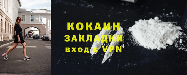дживик Абаза