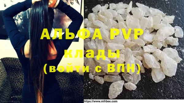 дживик Абаза