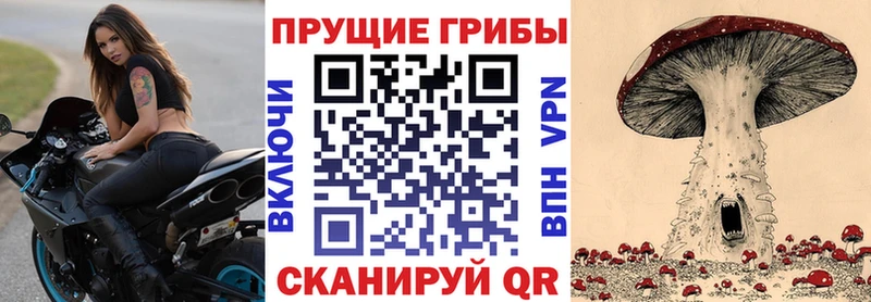 Псилоцибиновые грибы прущие грибы  ОМГ ОМГ зеркало  маркетплейс клад  Подольск 